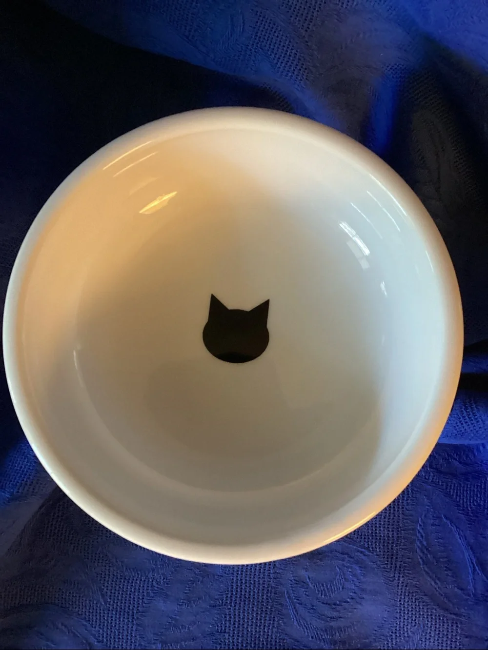Cat Food Elevated Bowl by Necoichi Brand.